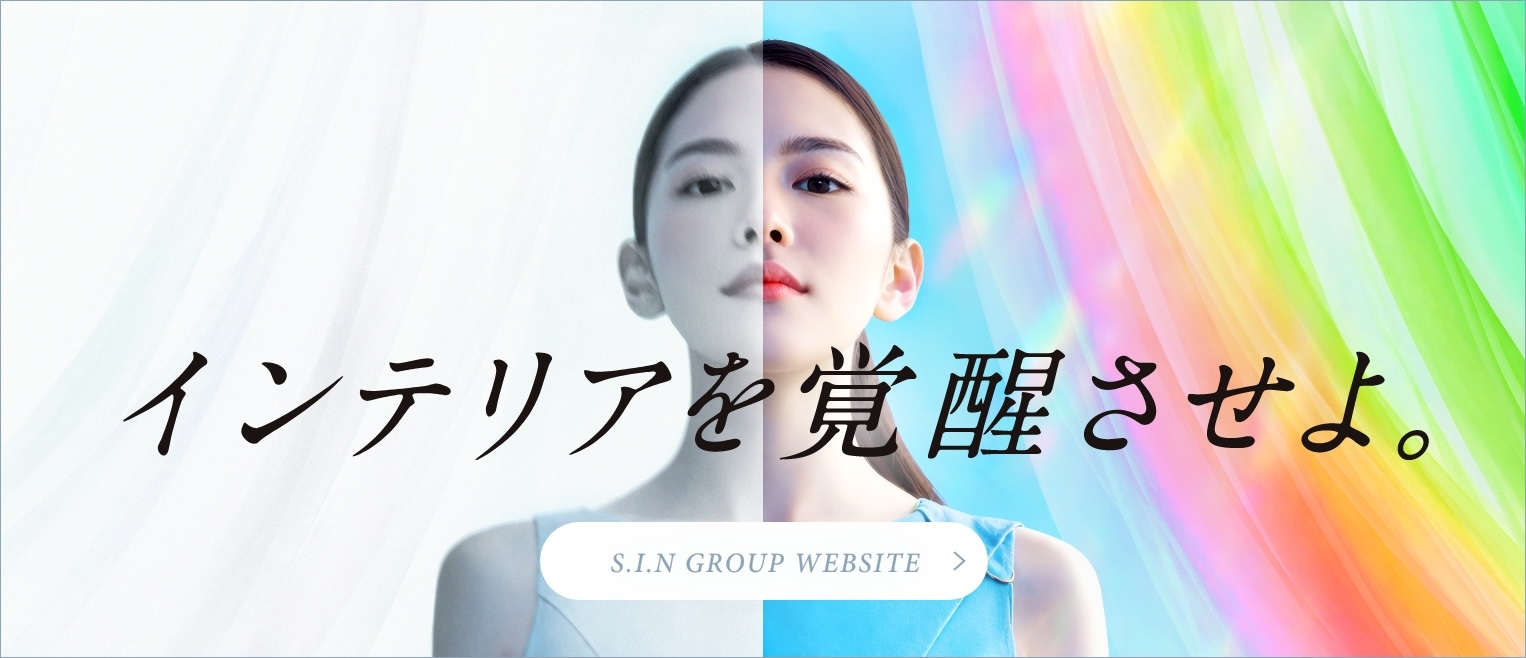 エスアイエヌホールディングス株式会社